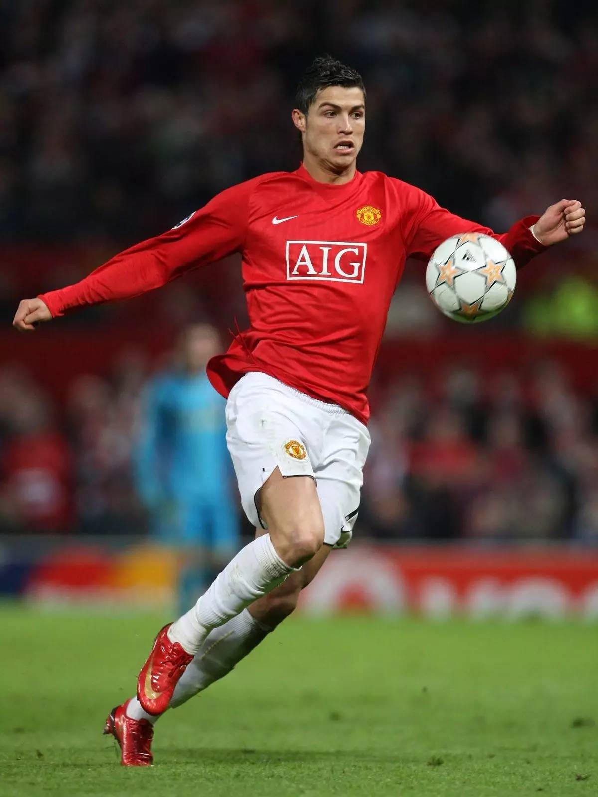 悬挂细微的 悬挂细微的