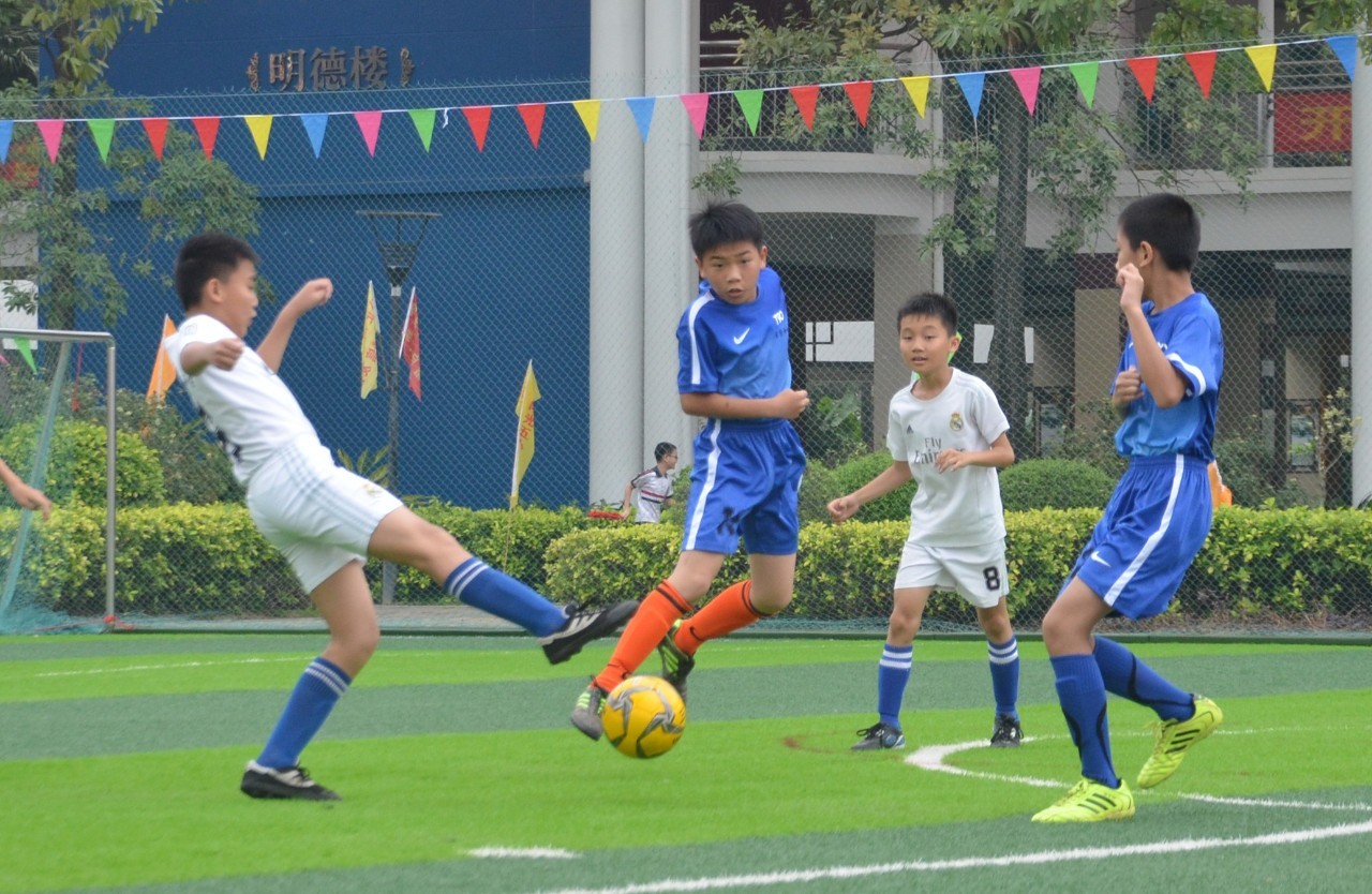 还可能吸引 还可能吸引