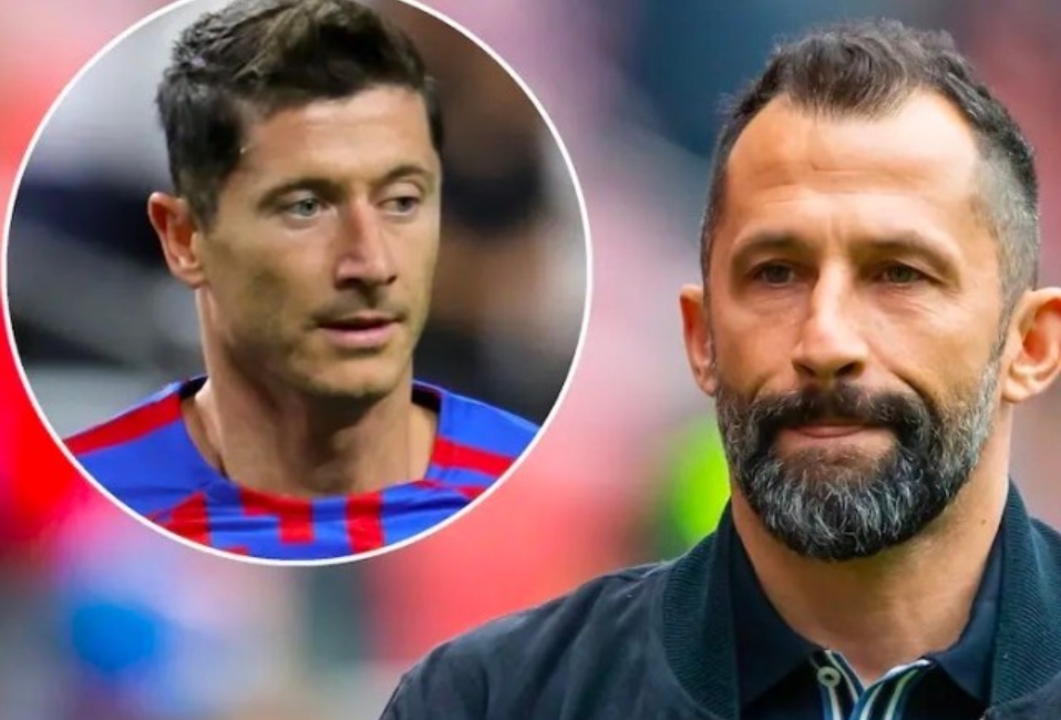 众带来更多 众带来更多