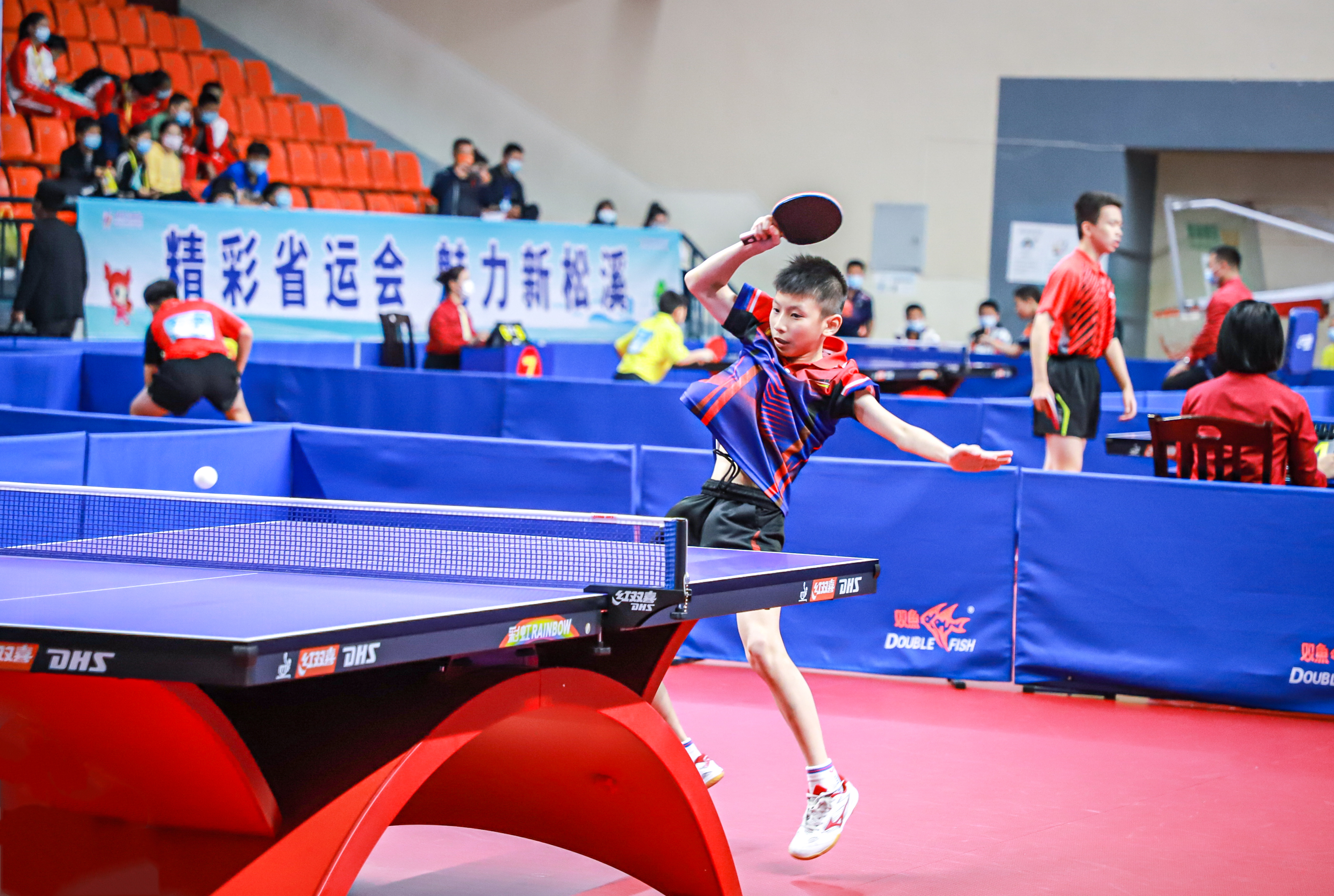 篮球和排球 篮球和排球